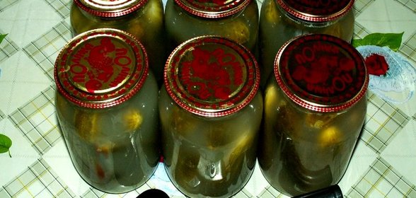 Соленые огурцы под закатку