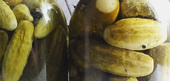 Консервированные огурчики на зиму