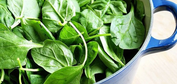 Консервированный шпинат