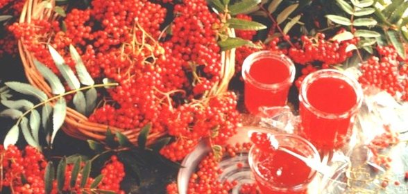 Варенье из рябины