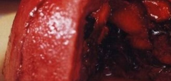 Жареная копченая скумбрия с квашеной капустой