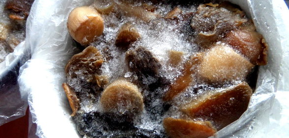 Заморозка лесных грибов на зиму