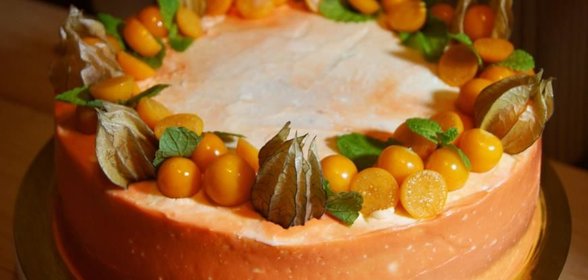 Бисквитный торт с рождественским настроением