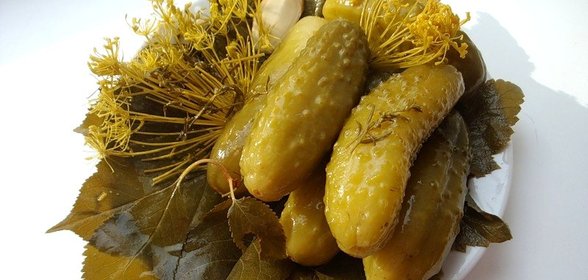 Засолка бочковых огурцов