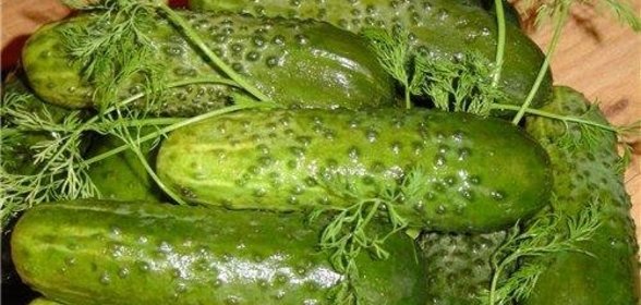 Малосольные огурчики