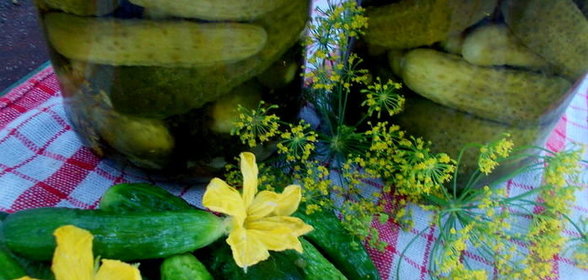 Консервированные огурчики Любимые