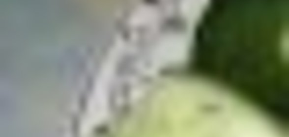 Джем из малины