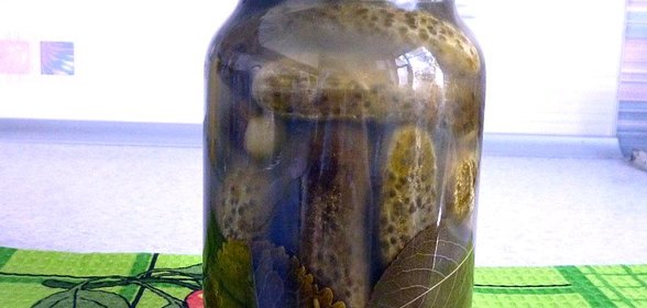 Квашеные огурцы в банках