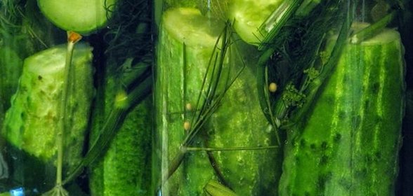 Огурцы горячим способом на зиму