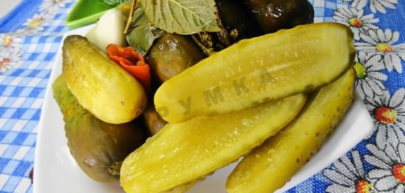 Засолка бочковых огурцов на зиму