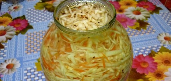 Засолка капусты на зиму