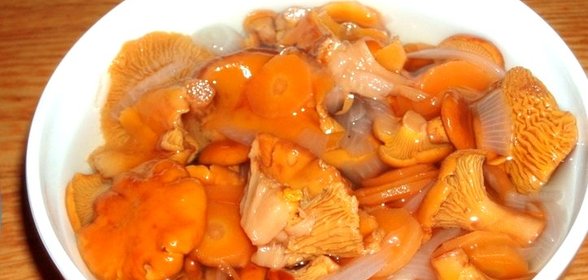 Маринованные лисички без уксуса