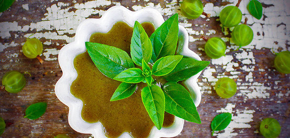 Ткемали из крыжовника