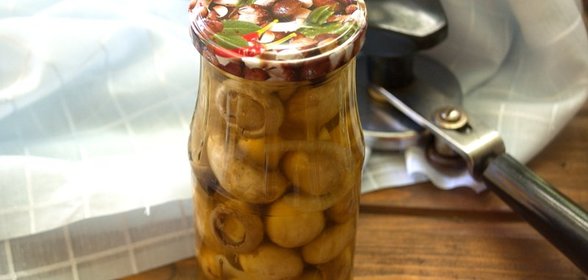 Маринованные грибы на зиму