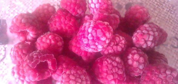 Замороженная малина