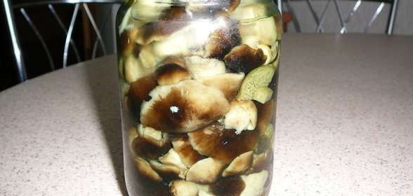 Маринованные грибы