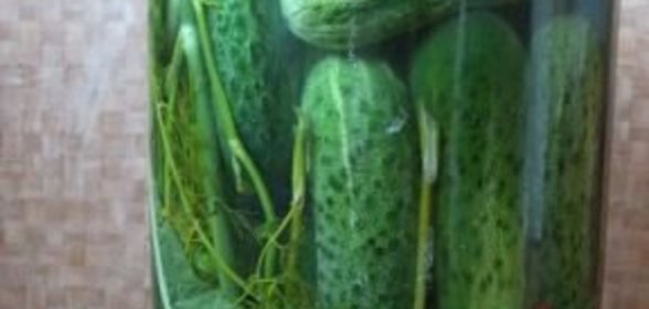 Консервированные огурцы