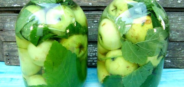 Моченые яблоки