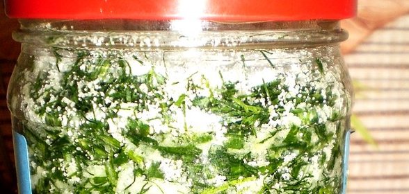 Зеленый лук на зиму