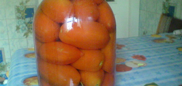 Помидоры