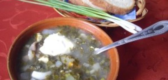 Морская рыба, запеченная с квашеной капустой