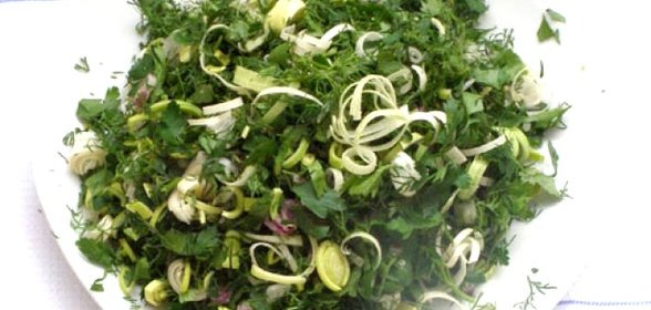 Лук-батун на зиму