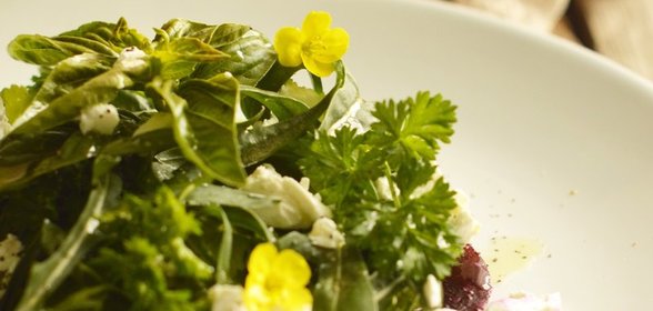 Салат из свеклы с козим сыром и рукколой