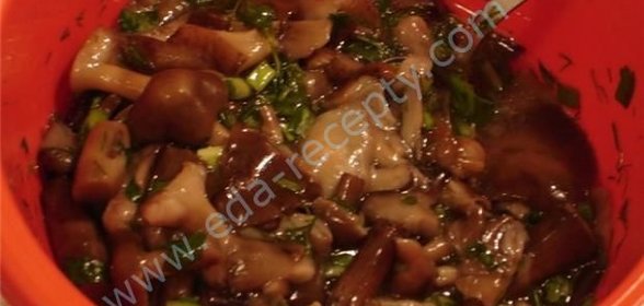 Засолка опят