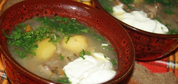 Щи с говядиной и квашеной капустой