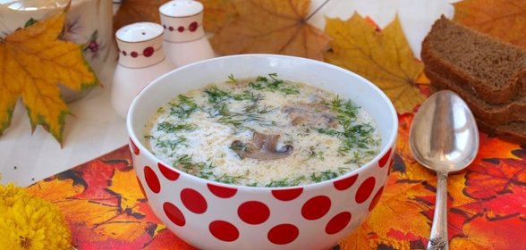 Грибной суп с плавленым сыром