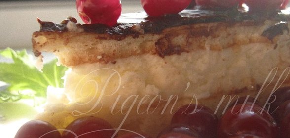 торт Птичье молоко на сгущенке