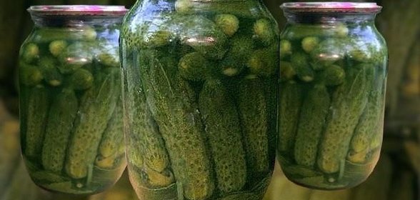 Маринованные огурцы по-болгарски на зиму