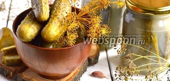 Хрустящие квашеные огурцы