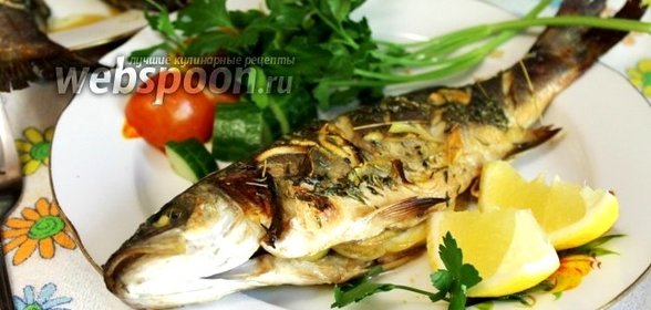 Сибас в горчично-медовом маринаде