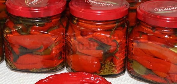 перец чили на зиму