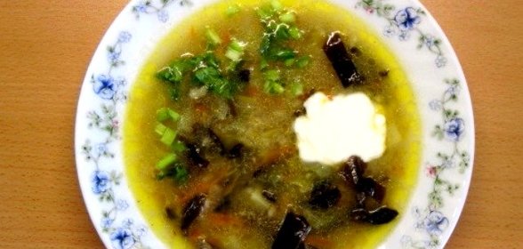Суп с грибами и перловкой