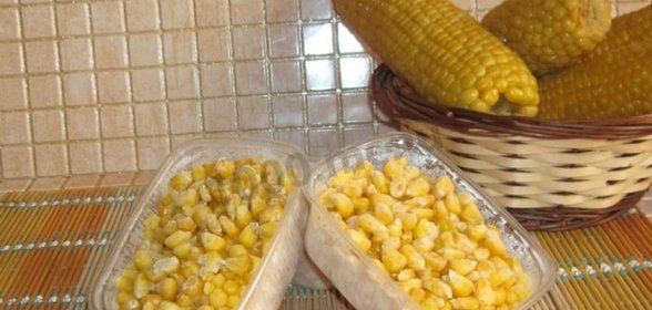 Заморозить кукурузу на зиму в початках и зернах