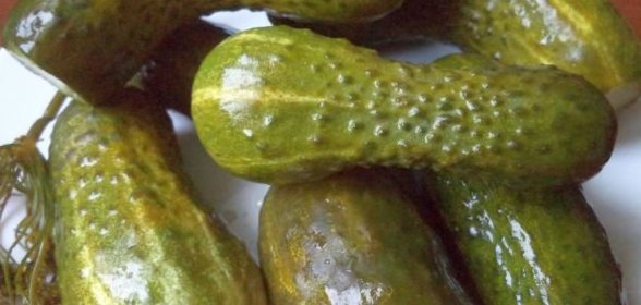 Малосольные огурцы быстрого приготовления