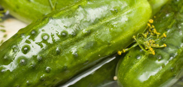 Малосольные огурцы