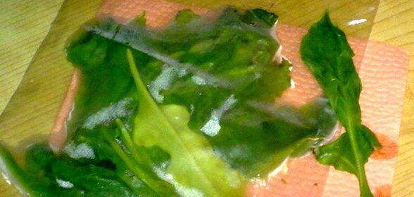 Рукола замороженная