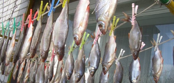 Тарань сушеная