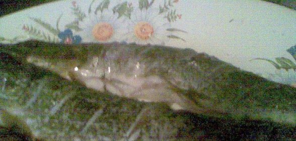 Щука вдуховке