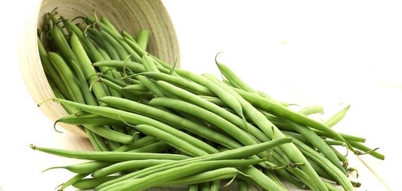 Консервированная спаржевая фасоль