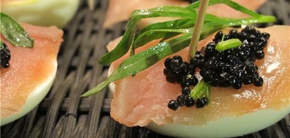 Закуска с барского стола