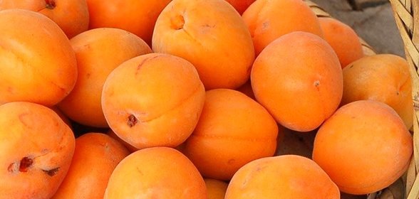 Варенье из абрикосов по-армянски