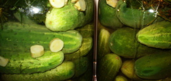 Огурчики консервированные