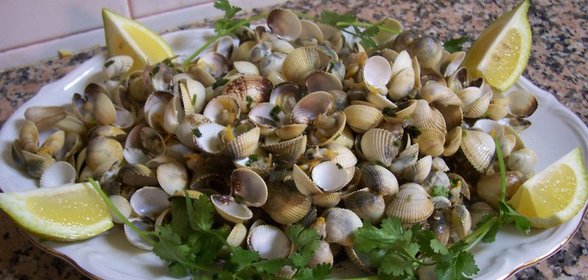 Ракушки Морские