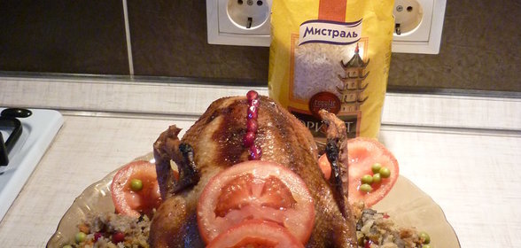 Индоутка с рисом Мистраль