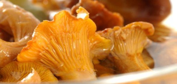 Маринованные лисички с изюмом