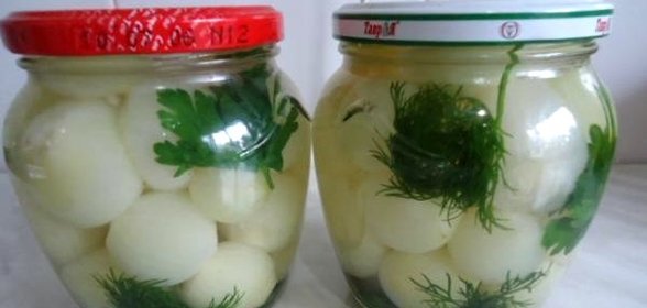 Маринованный репчатый лук на зиму